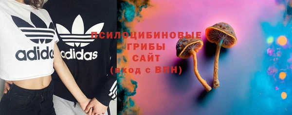 эйфоретик Богородск