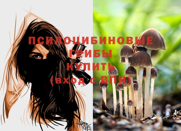 а пвп мука Белокуриха