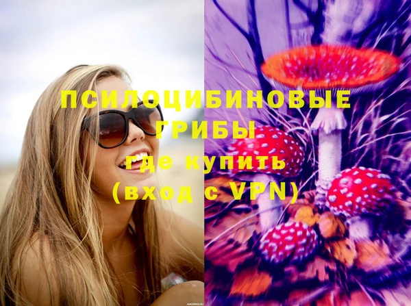 PSILOCYBIN Белоозёрский