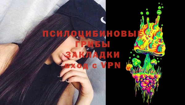 a pvp Богородицк
