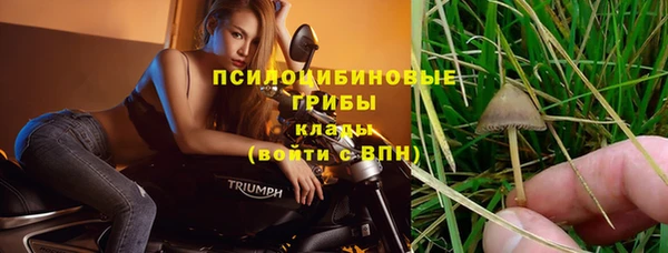 a pvp Богородицк