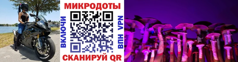 Галлюциногенные грибы Psilocybe  Боготол 